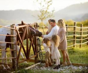 Как добраться к экоферме «Экзархо»