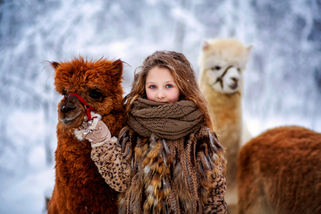 Литературные