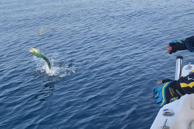 На форелевое хозяйство