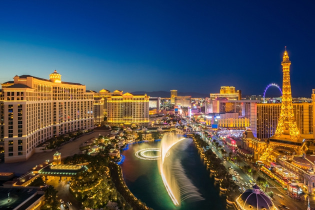 Однодневные