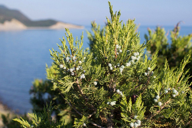 В заповедники
