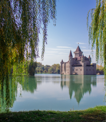 Язык Тролля