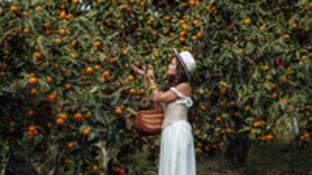 Красная Поляна