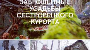Сестрорецк
