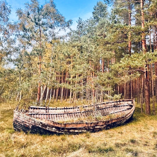 Гид Вячеслав