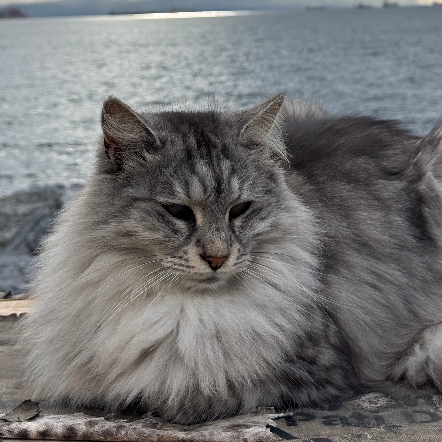 Гид İstanbul