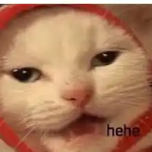 Гид Анастасия Г.