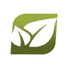 Гид DAVIDTea