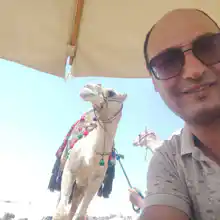 Гид Мохамед