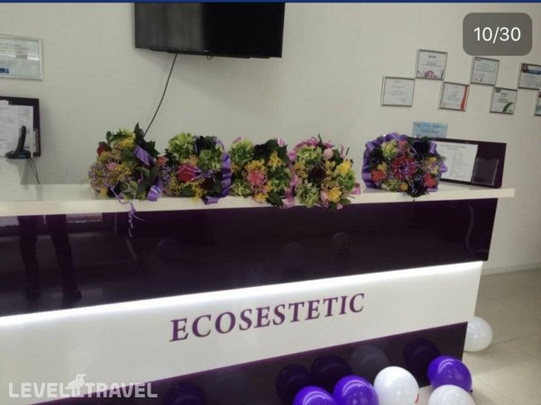 Ecosestetik, Тбилиси - фото 3