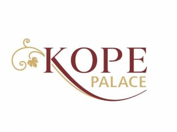 Kope Palace, Тбилиси - фото 2