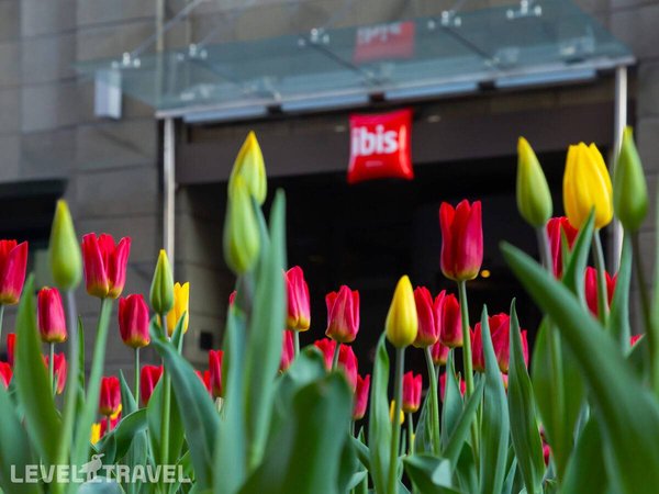 Ibis Moscow Centre Bakhrushina, Москва - фото 2