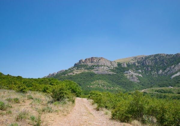 Поход по сказочному крымскому лесу: Иван да Марья - фото 1