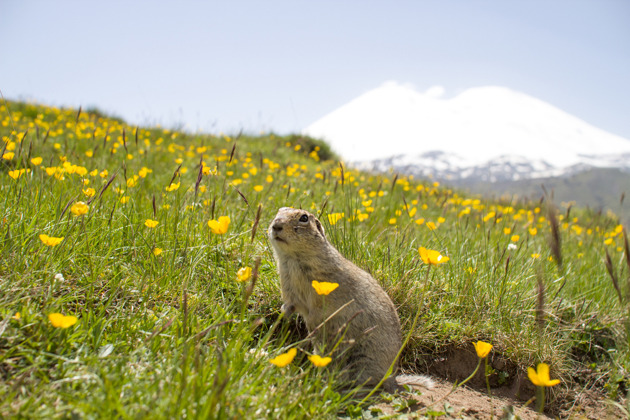 Фото - экскурсия: Северное Приэльбрусье в мини-группе: Джилы-Су, водопады и Скалы Аватары
