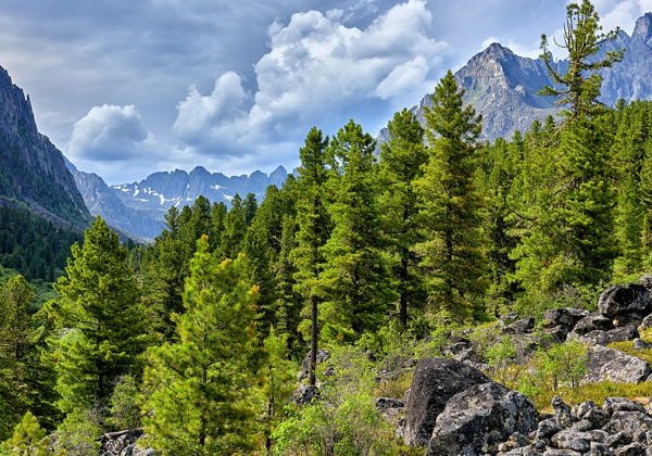 Самобытная Бурятия: Тункинская долина, Аршан - фото 4