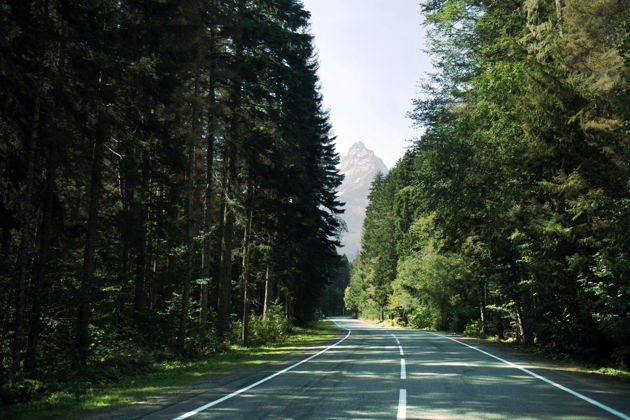 Фото экскурсии - Домбай: природные красоты и древние предания Карачаево-Черкесии - 7
