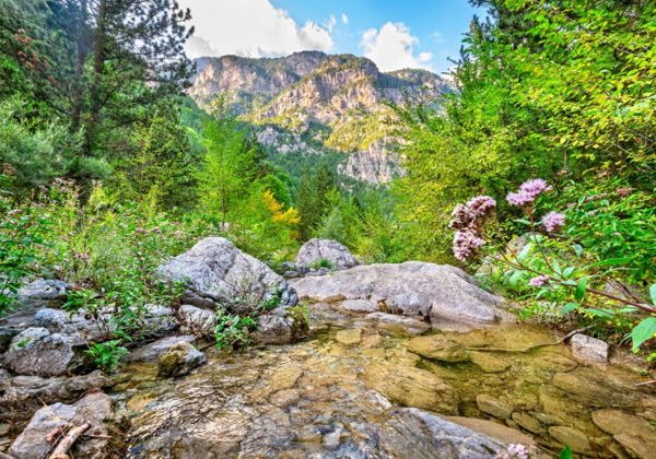 В гостях у Зевса: Олимп – Дион – деревня Палеос Пантелеймонас - фото 3