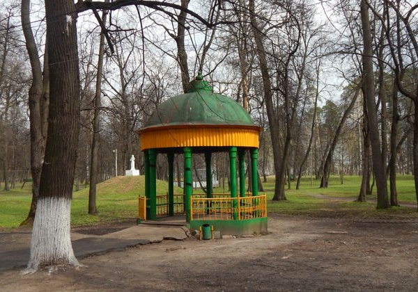 Удивительная Выкса - фото 1