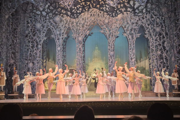 Фото экскурсии - Рождественский балет «Щелкунчик» в Будапештской Опере - 10