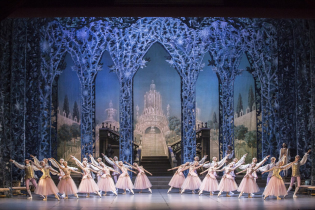 Фото - экскурсия: Рождественский балет «Щелкунчик» в Будапештской Опере