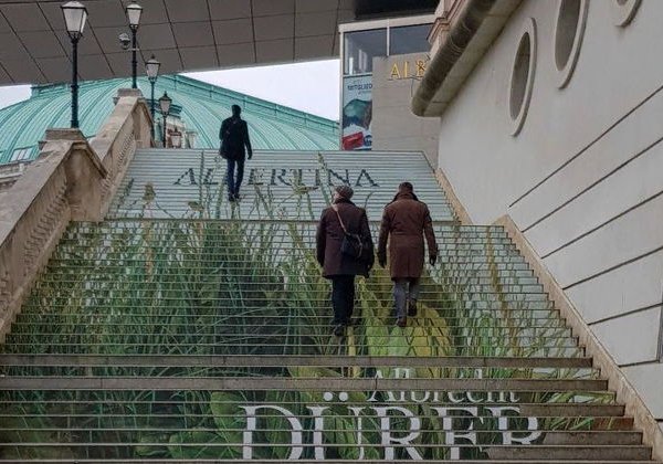 Арт-тур по временным и постоянным выставкам в Галерее Альбертина - фото 2