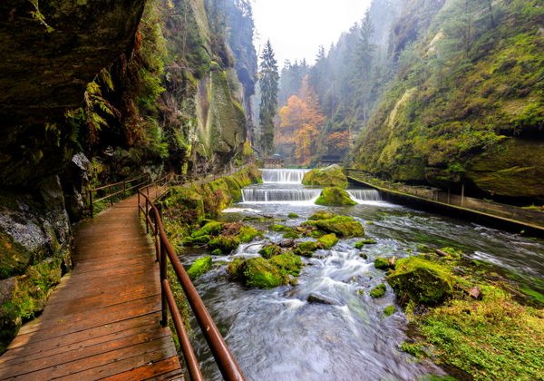 Саксонская Швейцария и крепость Кёнигштайн  - фото 2
