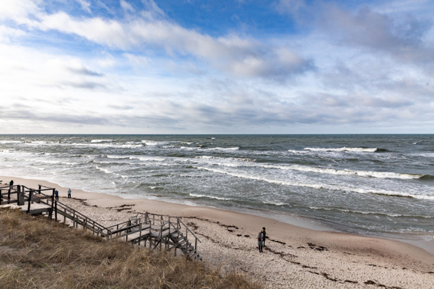 Фото - экскурсия: Экскурсия на Куршскую косу из Зеленоградска: Фрингилла, Танцующий лес и Высота Эфа