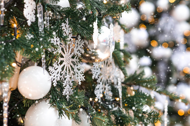 Фото - экскурсия: Новогодняя экскурсия: От могучего Енисея до Триумфальной арки