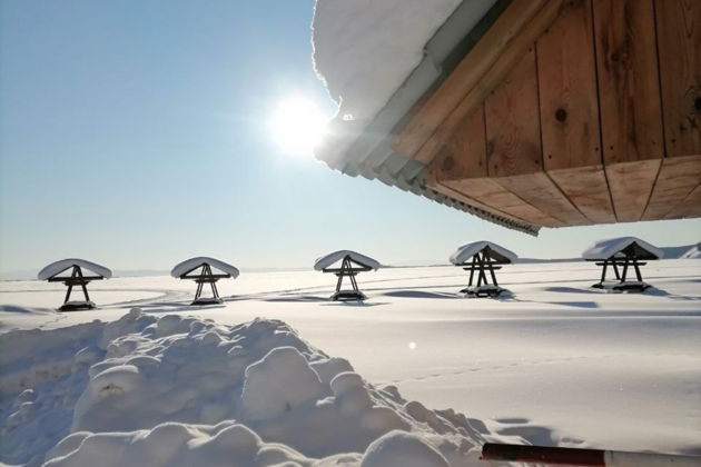 Фото экскурсии - Новогоднее путешествие на Байкал из Улан-Удэ на два дня - 5