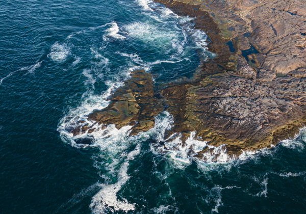 Красоты Баренцева моря: Морская прогулка в поисках китов - фото 4