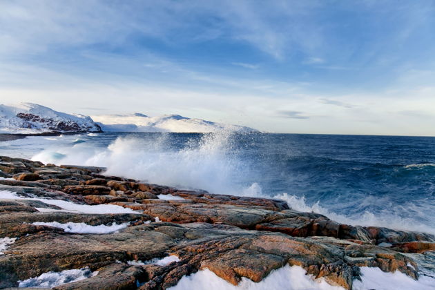 Фото экскурсии - Морское путешествие к китам: великолепие Баренцева моря - 7