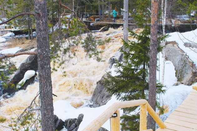 Фото экскурсии - Путешествие по Карелии с гастрономическими открытиями - 8