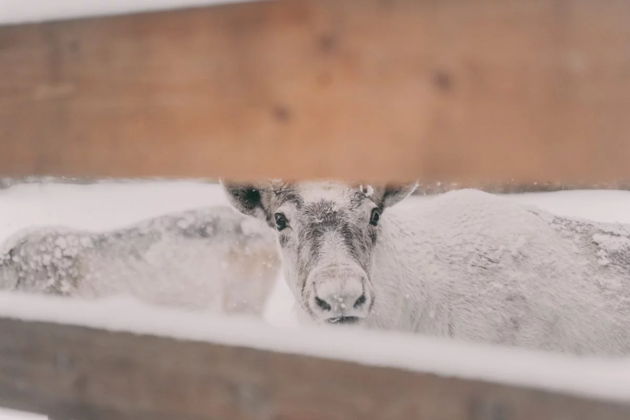 Фото экскурсии - Сила природы Карелии. Долина водопадов - 6