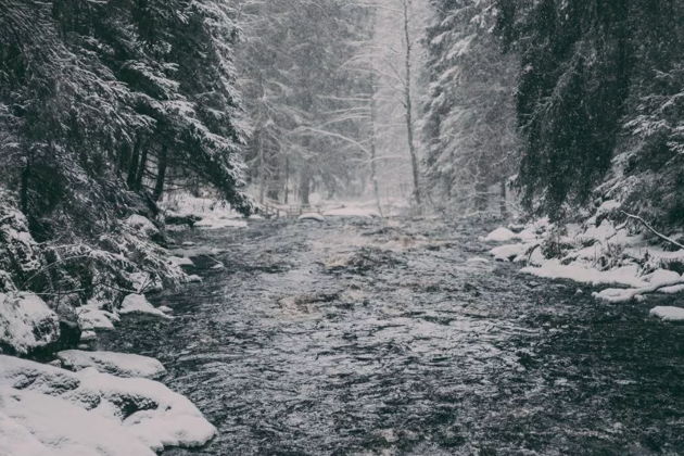 Фото экскурсии - Сила природы Карелии. Долина водопадов - 7