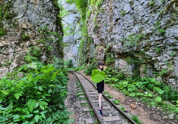 Прогулка по Гуамскому ущелью и его окрестностям - фото 3