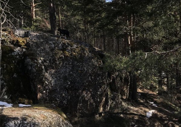 Экскурсия в Карелии к урочищу «Чертов стул» - фото 1