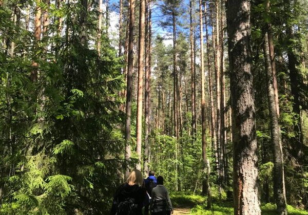 Экскурсия в Карелии к урочищу «Чертов стул» - фото 4