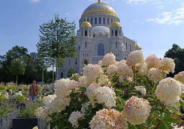 Город воинской славы Кронштадт (в небольшой группе)