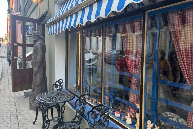 Фото экскурсии - Выборг на выходные! Средневековые замки, варяжский двор и старинные усадьбы - 10