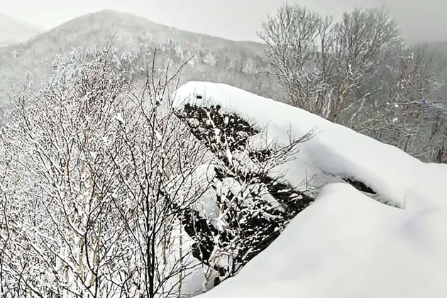 Фото - экскурсия: Загадочная зона или место силы - что представляет собой "Лягушка"