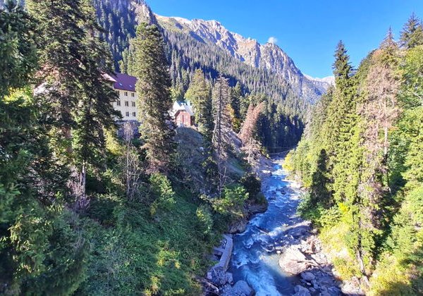 Домбай и термальные воды «Жемчужины Кавказа» - фото 4