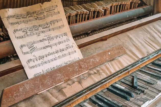 Фото экскурсии - Незабываемое исследование заброшенных дворцов и пансионатов Гагры - 7