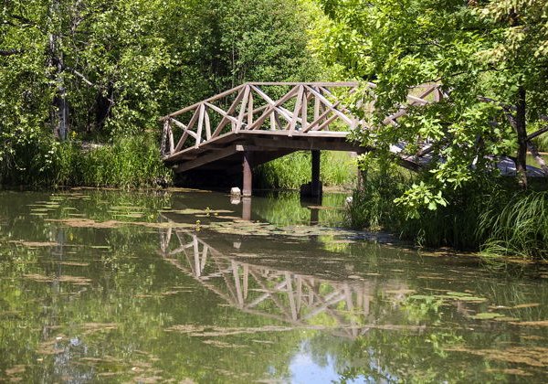 «Приют искусств и вдохновенья»: Абрамцево – Мураново - фото 3