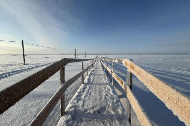 Знакомство с Архангельском: обзорная экскурсия по городу - фото 4