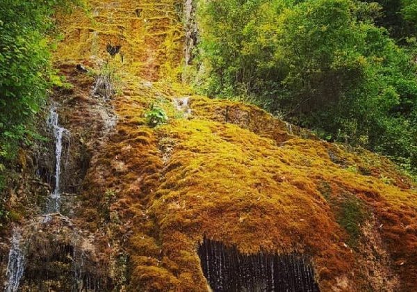 Грузинская Швейцария! Рача - это Рай! Так говорят сами Рачинцы! - фото 4