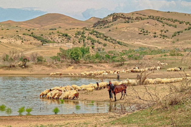 Фото экскурсии - Настоящий офф-роуд: радужные горы Грузии и лавра Давида - 11