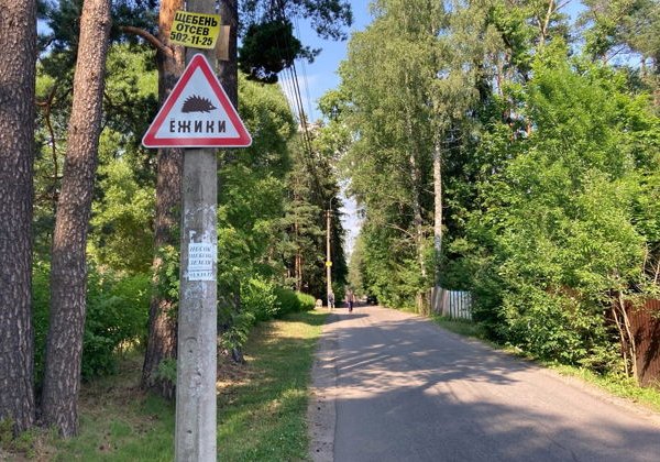 Комарово (Лесная сторона). От старинных дач до "будки" Ахматовой. - фото 4
