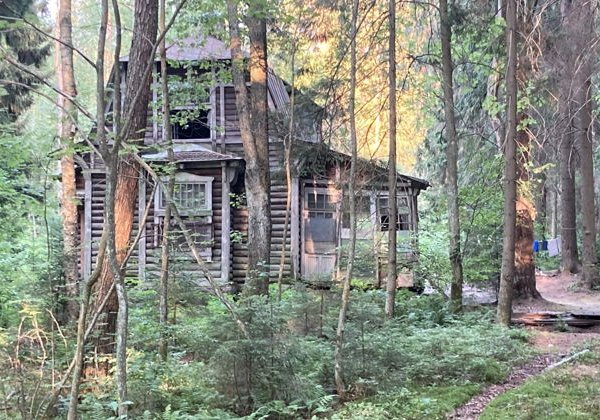 Морская сторона Комарово. От станции к морю и эко-тропе «Комаровский берег» - фото 4