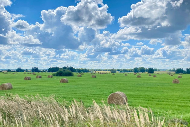 Фото экскурсии - Невероятное обаяние маленьких городков Восточной Пруссии - 7