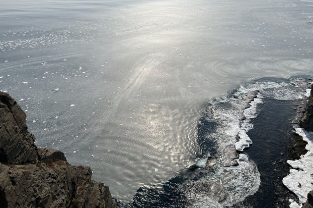 Фото экскурсии - Остров Русский: для тех, кто влюблен в природу (Мыс Вятлина, Мыс Тобизина, панорамные виды) - 5